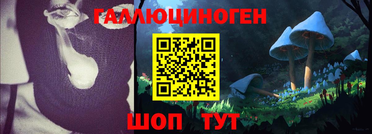 Ставрополь  Галлюциногенные грибы MAGIC MUSHROOMS  Псилоцибиновые грибы Psilocybe  Вход с VPN 