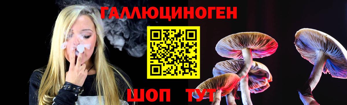 Псилоцибиновые грибы Psilocybine cubensis Ставрополь